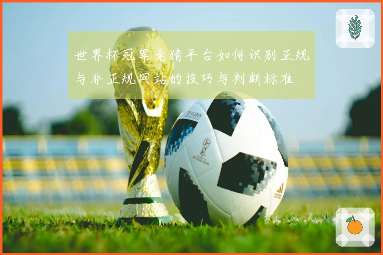世界杯冠军竞猜平台如何识别正规与非正规网站的技巧与判断标准