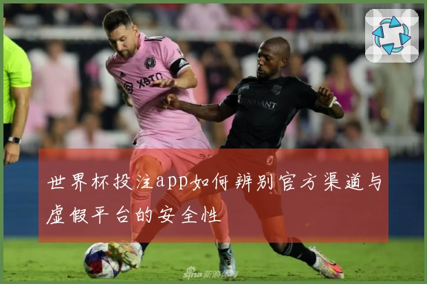 世界杯投注app如何辨别官方渠道与虚假平台的安全性