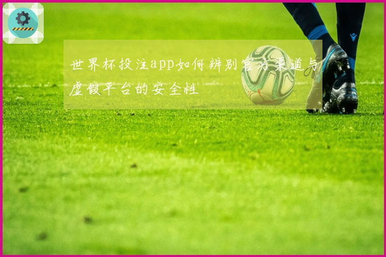 世界杯投注app如何辨别官方渠道与虚假平台的安全性