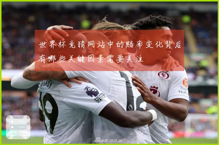 世界杯竞猜网站中的赔率变化背后有哪些关键因素需要关注