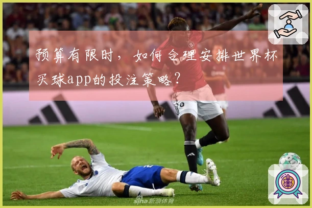预算有限时，如何合理安排世界杯买球app的投注策略？