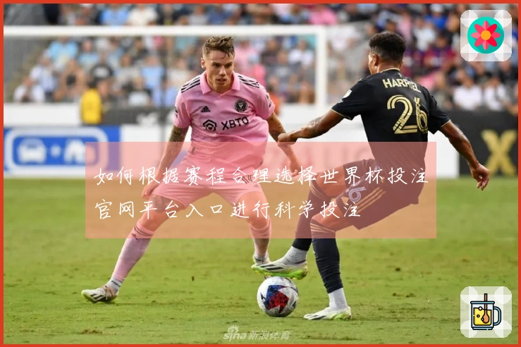 如何根据赛程合理选择世界杯投注官网平台入口进行科学投注