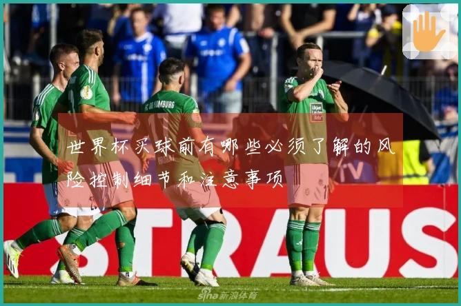 世界杯买球前有哪些必须了解的风险控制细节和注意事项