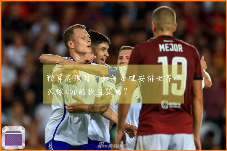 预算有限时，如何合理安排世界杯买球app的投注策略？