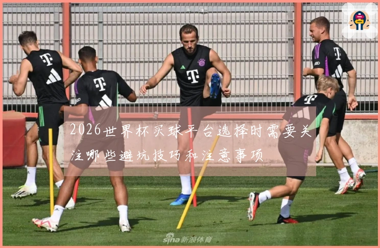2026世界杯买球平台选择时需要关注哪些避坑技巧和注意事项
